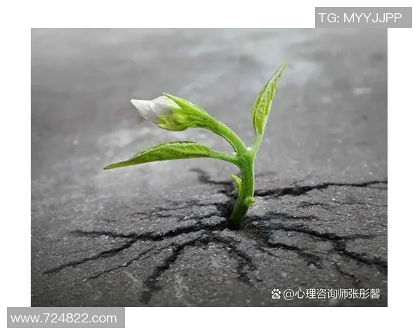 史鸿飞的传奇人生与不屈精神如何影响当代青年成长与奋斗