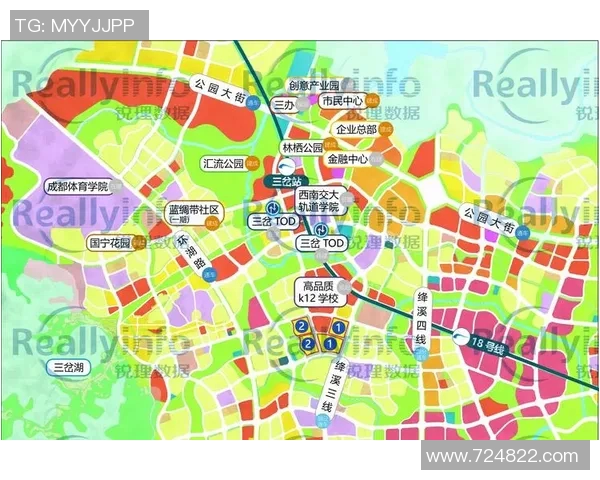 重磅专题：探索成都排球队阵地战革新与战术提升的全新路径